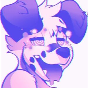 Meet your Posher, Max